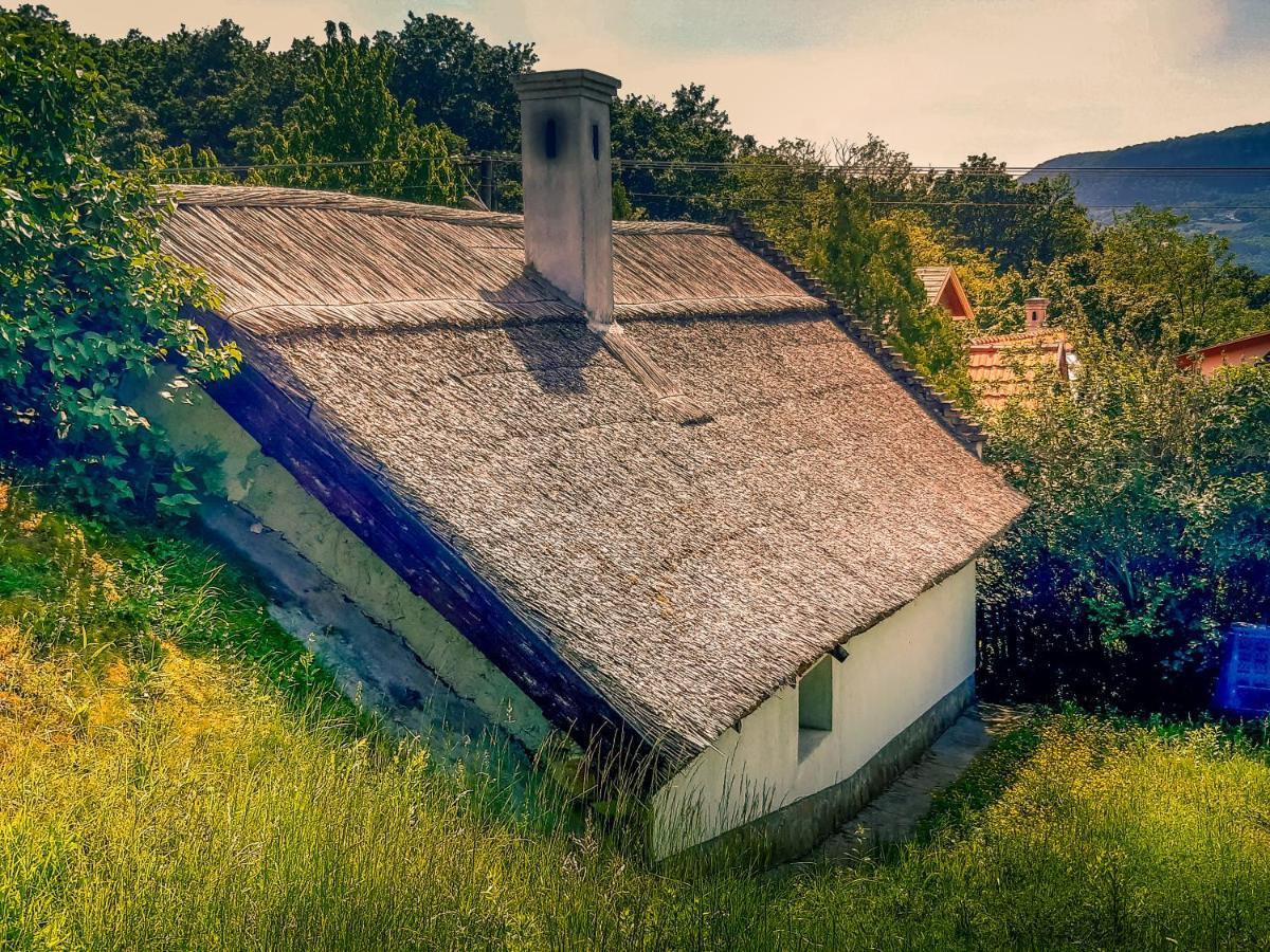 Wild Boar Cottage - Romantic Getaway Badacsonytomaj Exterior foto